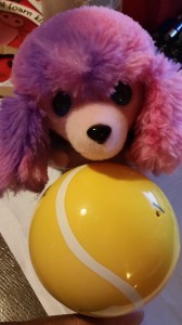 wpid-20141219_074721.jpg