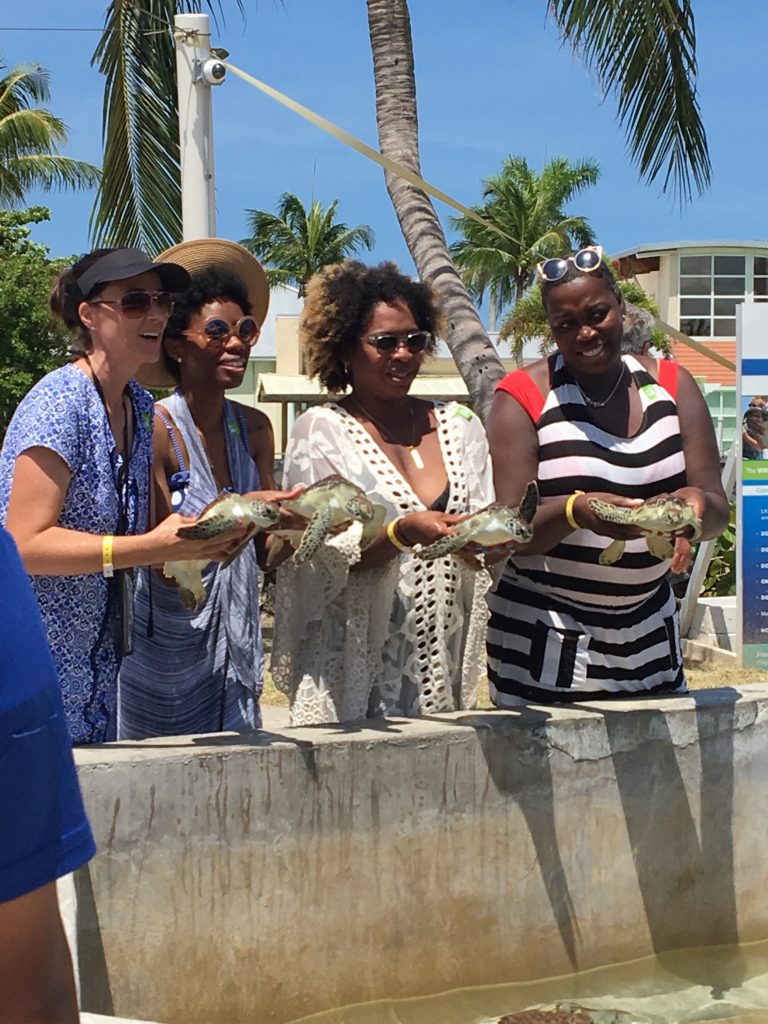 Bringing Luxury to Your Carnival Cruise 5