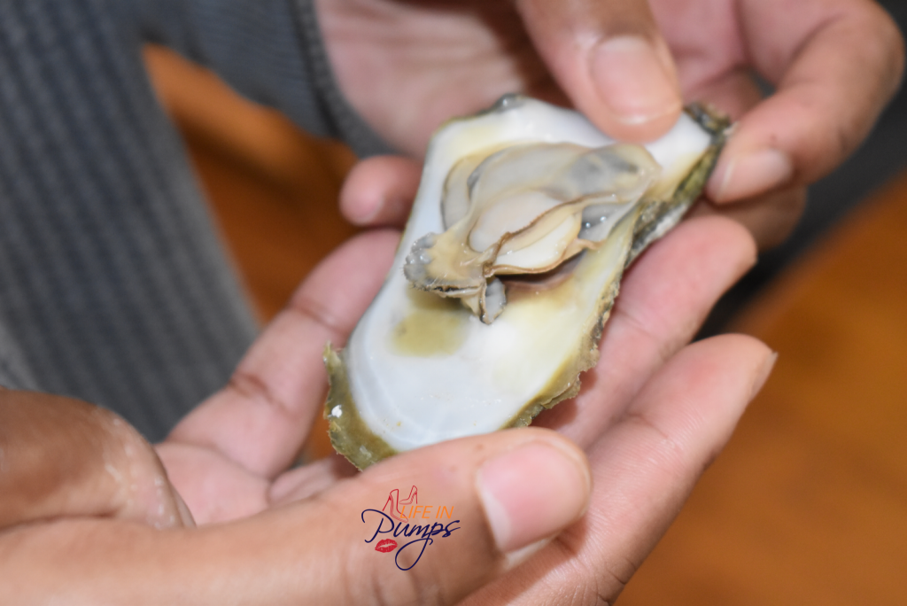 brown skin girl holding and oyster in her hand for the first time in Myrtle Beach during the seafood broil at thanksgiving