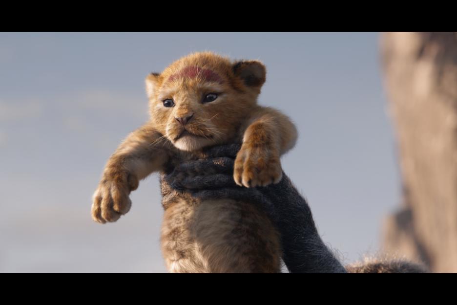 Baby Lion Cub Simba in the Lion King
