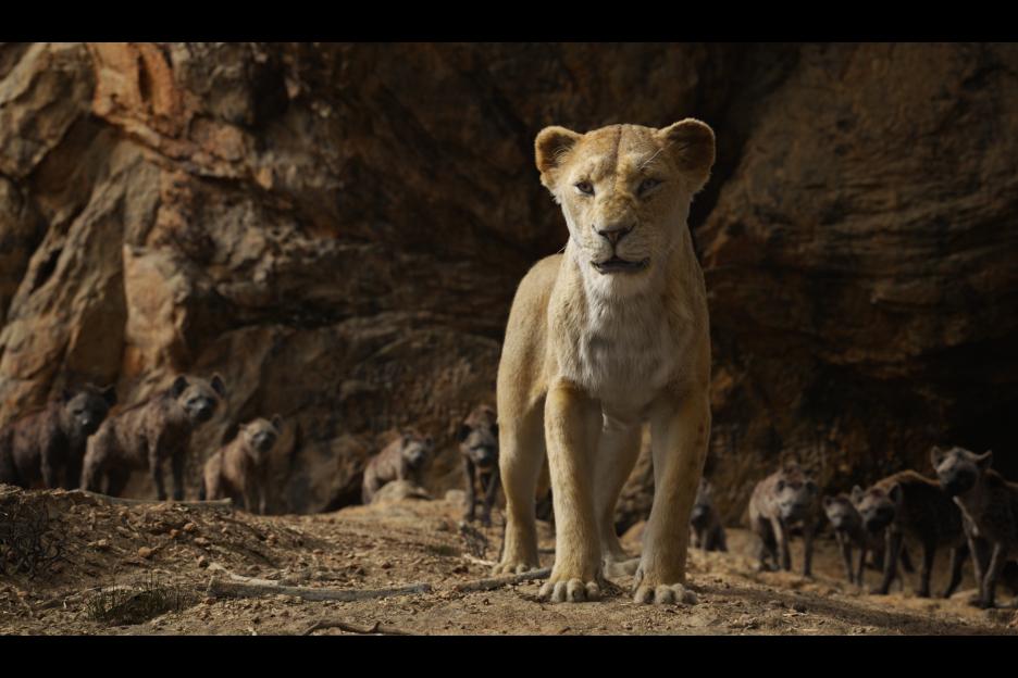Lion King Movie Sarabi Courage
