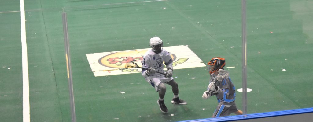 brown boys of box lacrosse at Blue Cross arena in Rochester NY