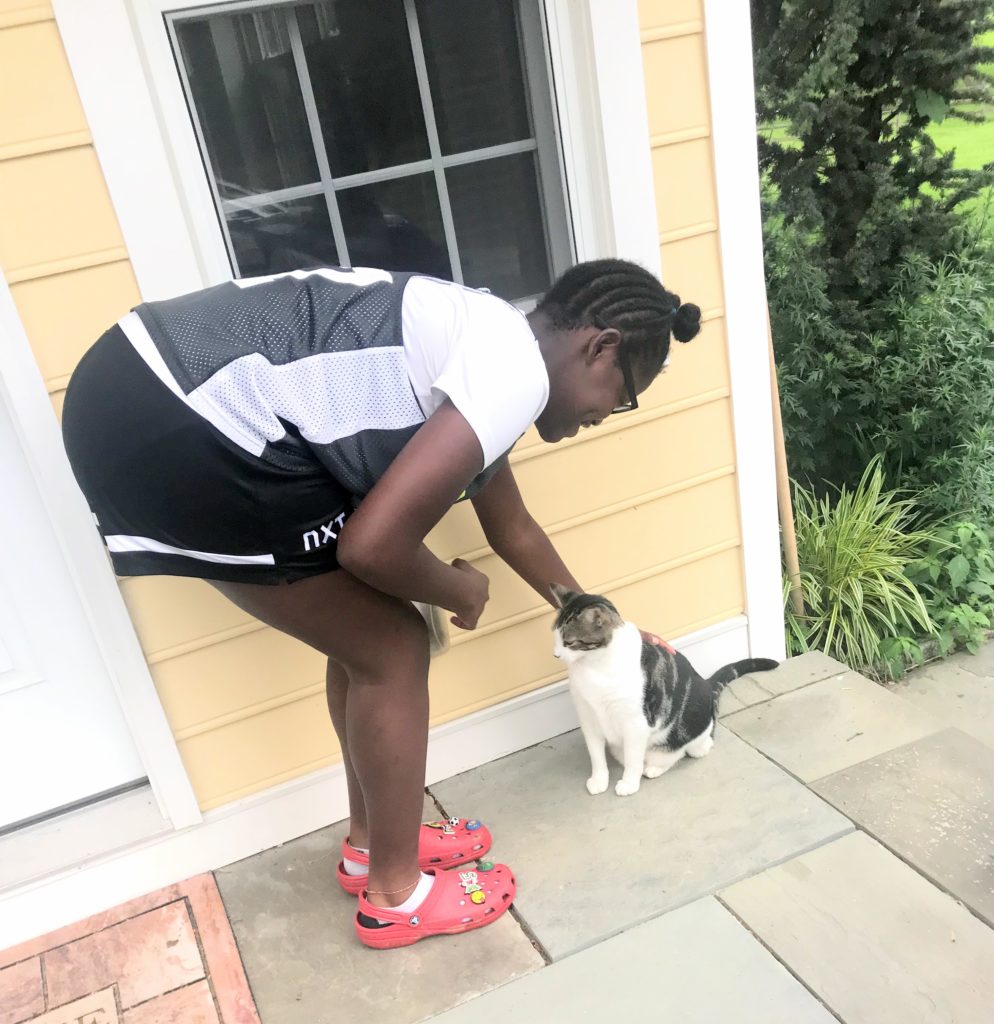 busy and motivated quarantine kid cat