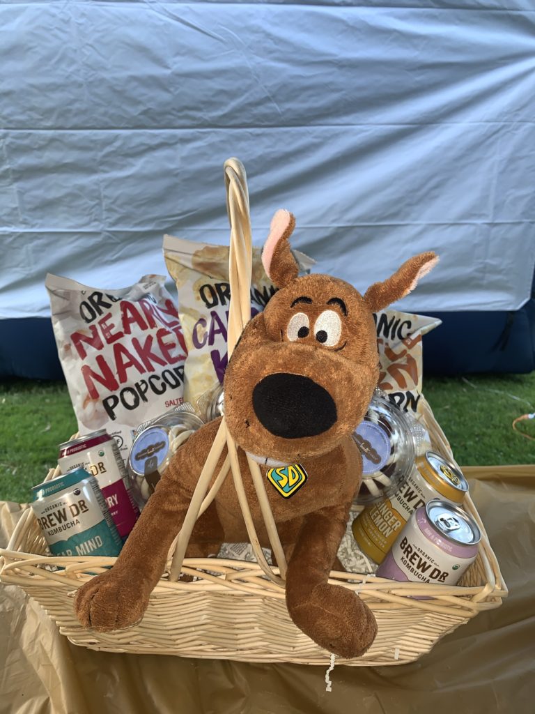 Scooby Scooby Doo Movie 2020 backyard family movie night
