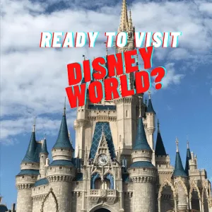Spreading Pixie Dust- Disney World 7